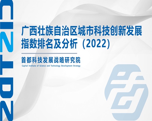 啊啊啊湿啪啪啪私密【成果发布】广西壮族自治区城市科技创新发展指数排名及分析（2022）